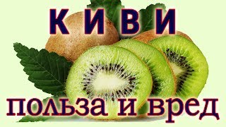 киви, польза и вред китайского крыжовника