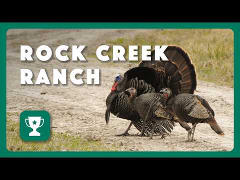 Rock Creek Ranch 2026 Piney Woods Ecoregion Recognition Awards