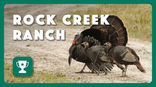 Rock Creek Ranch 2026 Piney Woods Ecoregion Recognition Awards