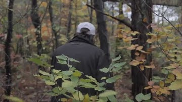 Retiming 30p to 25p; Twixtor Frame Blending, hard cuts unprotected