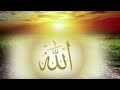 ورد دعوة الجلالة 