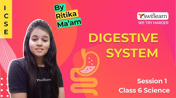 Digestive System | ICSE Class 6 | Science Online Class | Session 4 - Swiflearn