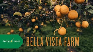 Bella Vista Farm | Young Living Essential Oils