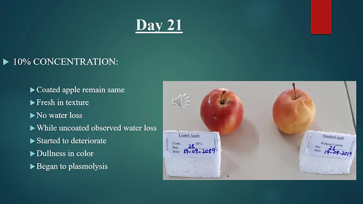 IICC21 KN07:Edible food coating presentation by Pr...