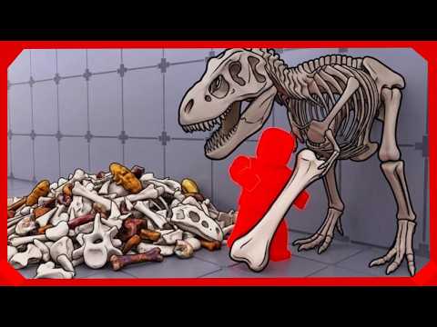 Roblox - Build a Dinosaur
