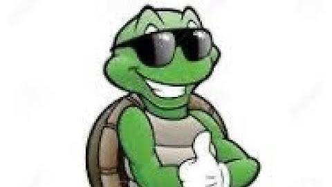 Turtle on a trash can (The Song)