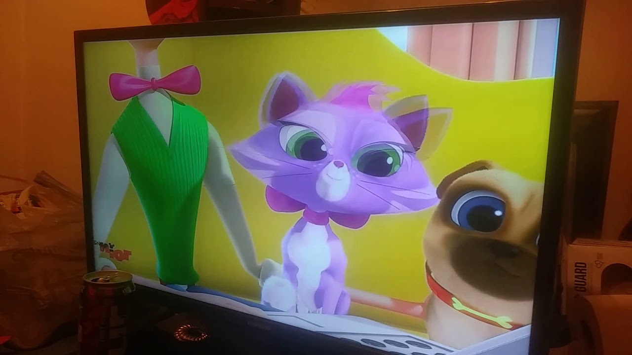 Puppy dog pals season 1 episode 11 hissy s kitty/polly wants a pug