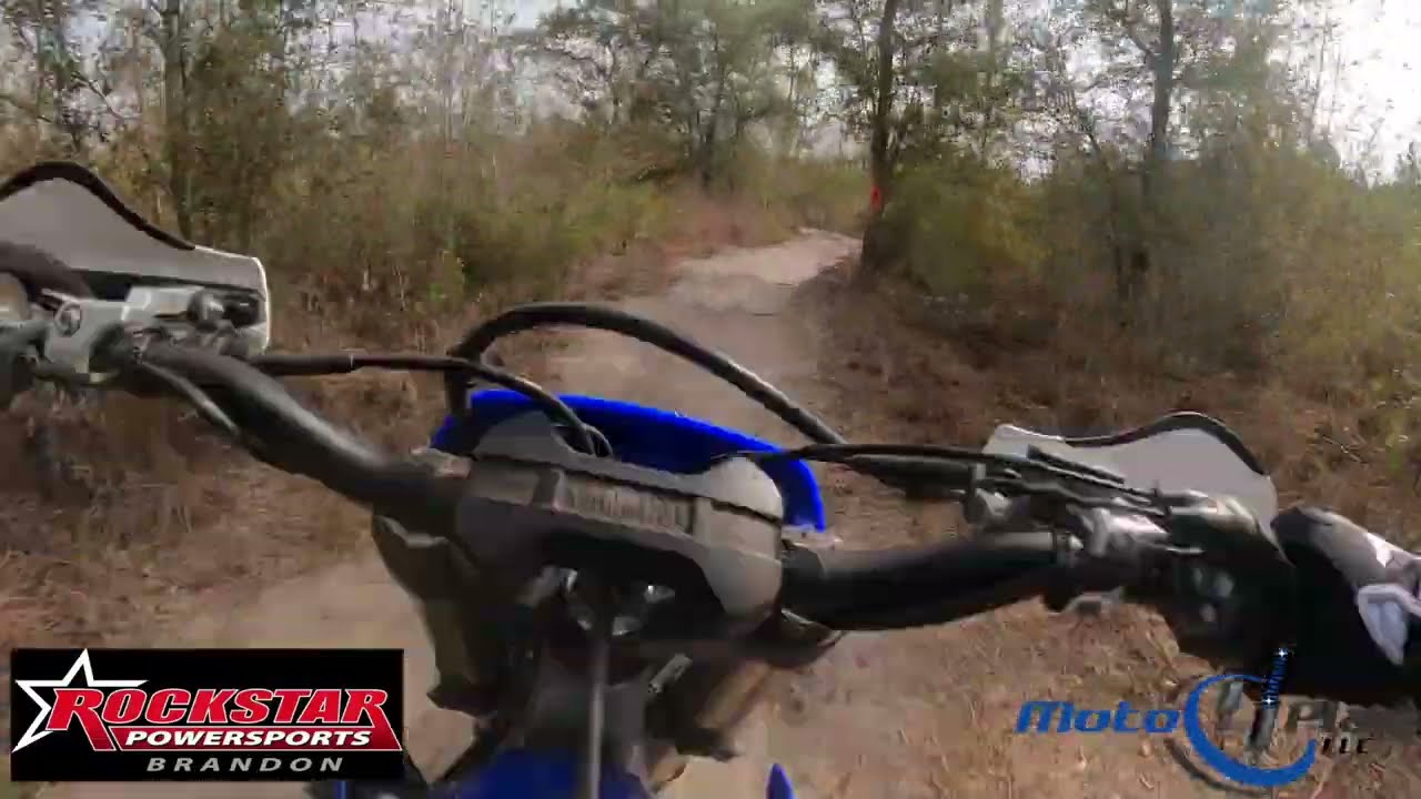 FTR Lake Butler Senior A