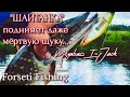 "ШАЙТАНКА" ТОП ПРИМАНКА | ЩУКА ПРОСТО В ЯРОСТИ ОТ Megabass I-Jack FISHING