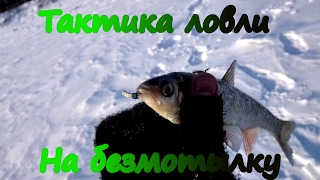 Путь к безмотылке. Тактика ловли . Мое мнение. Путь к безмотылке. Тактика ловли . Мое мнение.