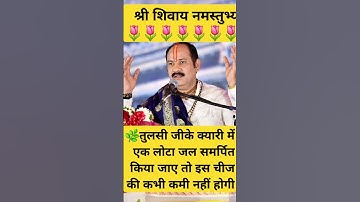 तुलसी जीके क्यारी में एक लोटा जल समर्पित किया जाए तो इस चीज की कभी कमी नहीं होगी#pardeep mishra #