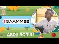 Gaammee   abdii boruu