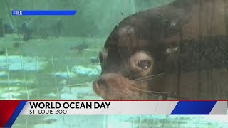 World Ocean Day St. Louis Zoo
