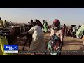 Two aid convoys with food reach Sudan's Darfur for the first time in months