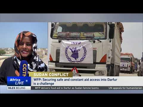 Two aid convoys with food reach Sudan’s Darfur for the first time in months