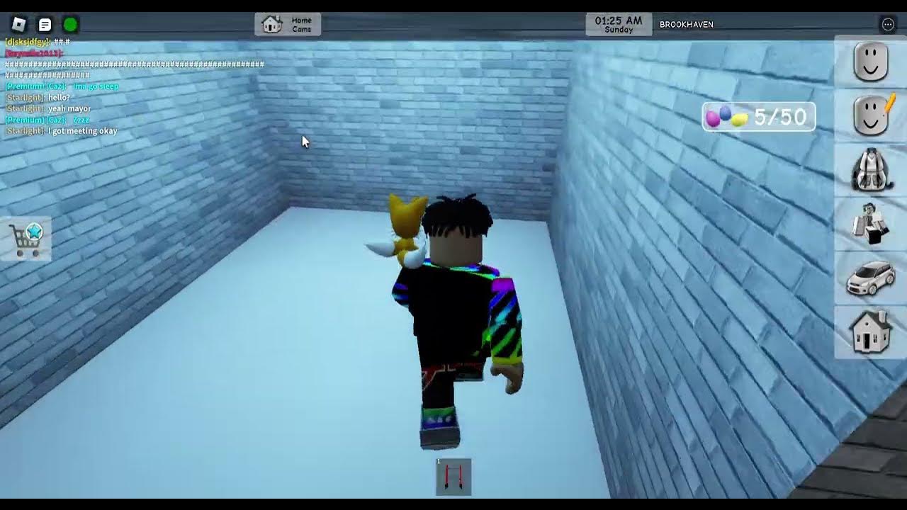 Roblox Brookhaven RP Script: Collect All Eggs