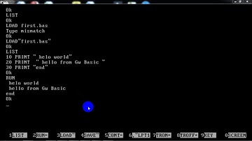 Practical | 10th class | GW Basic| How to Load & run the program in GW Basic | PRACTICAL GW BASIC