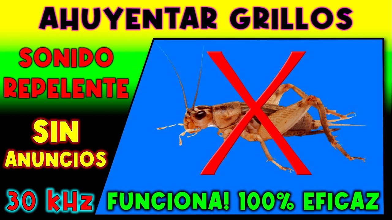 Sonido Para Ahuyentar Grillos 🚫🦗 Repelente De Grillos Youtube 