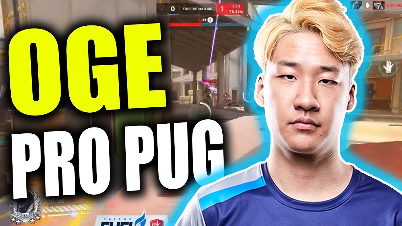 OGE Pro Pug with (OGE, SPREE, Mangachu, Avast, Mohr, Logix)