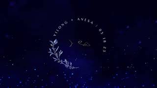 Yilong + Anesa LED Wall Animation