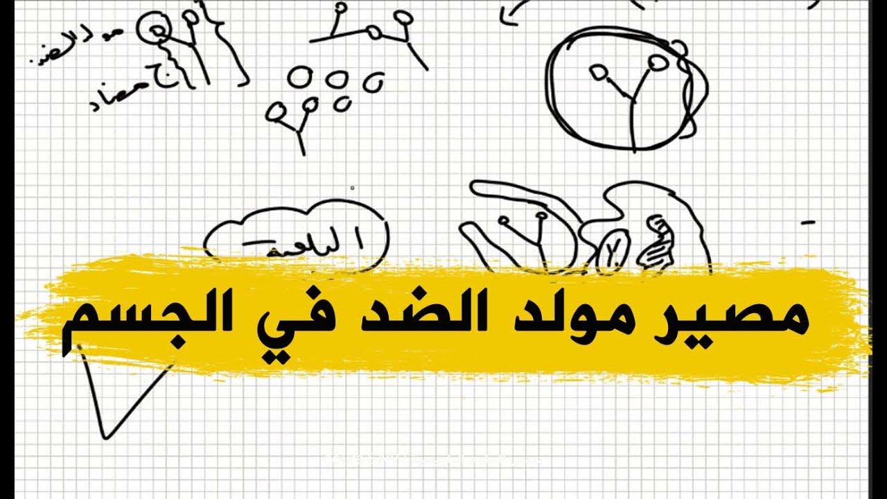 اقوى شرح لمعرفة مصير مولد الضد بعد مهاجمته من طرف الاجسام المضادة