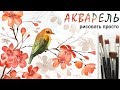 «Цветы. Птица» как нарисовать 🎨АКВАРЕЛЬ | Сезон 3-1 |Мастер-класс для начинающих ДЕМО