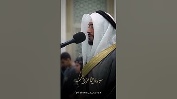 القارئ: أحمد النفيس.