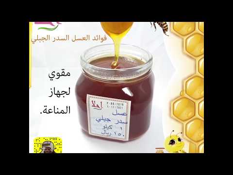 عسل السدر الجبلي