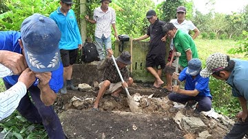 MƯỜI THƯƠNG Bị Rắn Hổ Đất Cắn Phải Nhập Viện | Mười Thương SB_ Tập 133