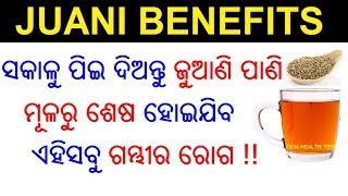 Download Lagu ଜୁଆଣି ର ୧୦ ଟି ଔଷଧୀୟ ଗୁଣ | Juani ra upakarita | Juani benefits | Ajwain Odia | ODIA HEALTH TIPS Download Lagu ଜୁଆଣି ର ୧୦ ଟି ଔଷଧୀୟ ଗୁଣ | Juani ra upakarita | Juani benefits | Ajwain Odia | ODIA HEALTH TIPS