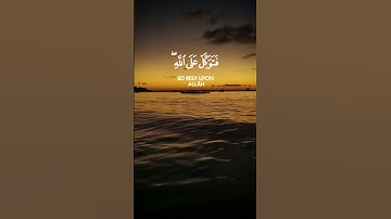 ان ربك يقضي بينهم بحكمه  وهو العزيز العليم #هزاع_البلوشي #قران_كريم #quran #تلاوات #حكمة