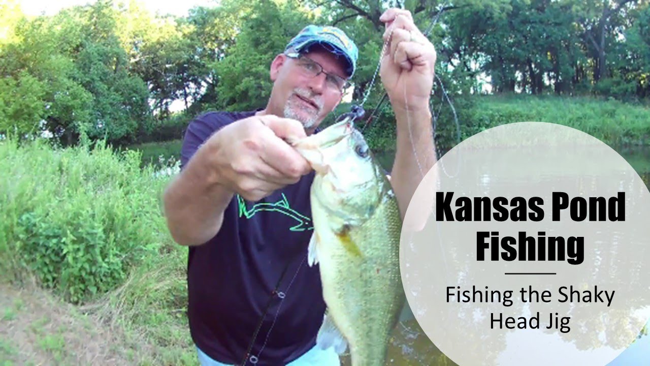Kansas Farm Pond Bass Fishing With a Shaky Head Jig