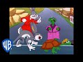 Looney tunes  the hare and tortoise rerace  classic cartoon  wb kids