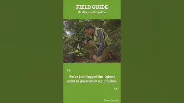 SiteOne Field Guide: Air Relief Valves for Drip Irrigation