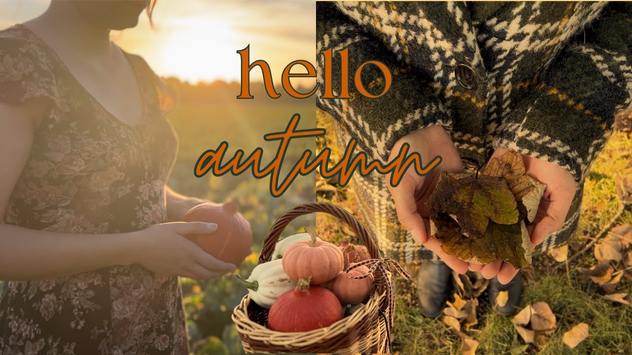 Hello Autumn 🍁 celebrating autumn‘s arrival with pumpkin picking, fall ...