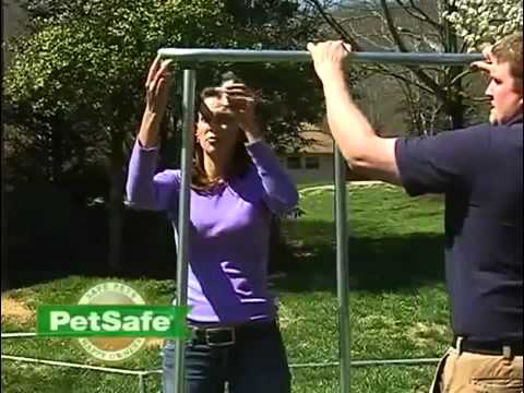 वीडियो: कैसे एक PetSafe बॉक्स चेन लिंक डॉग रन इकट्ठा करने के लिए दिशा-निर्देश