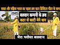 Video Image