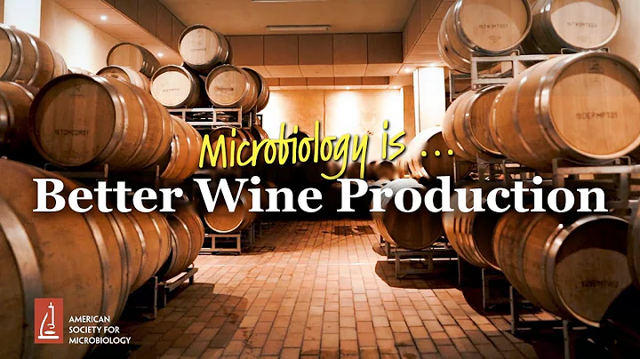 Microbiology Is…Better Wine Production - DayDayNews