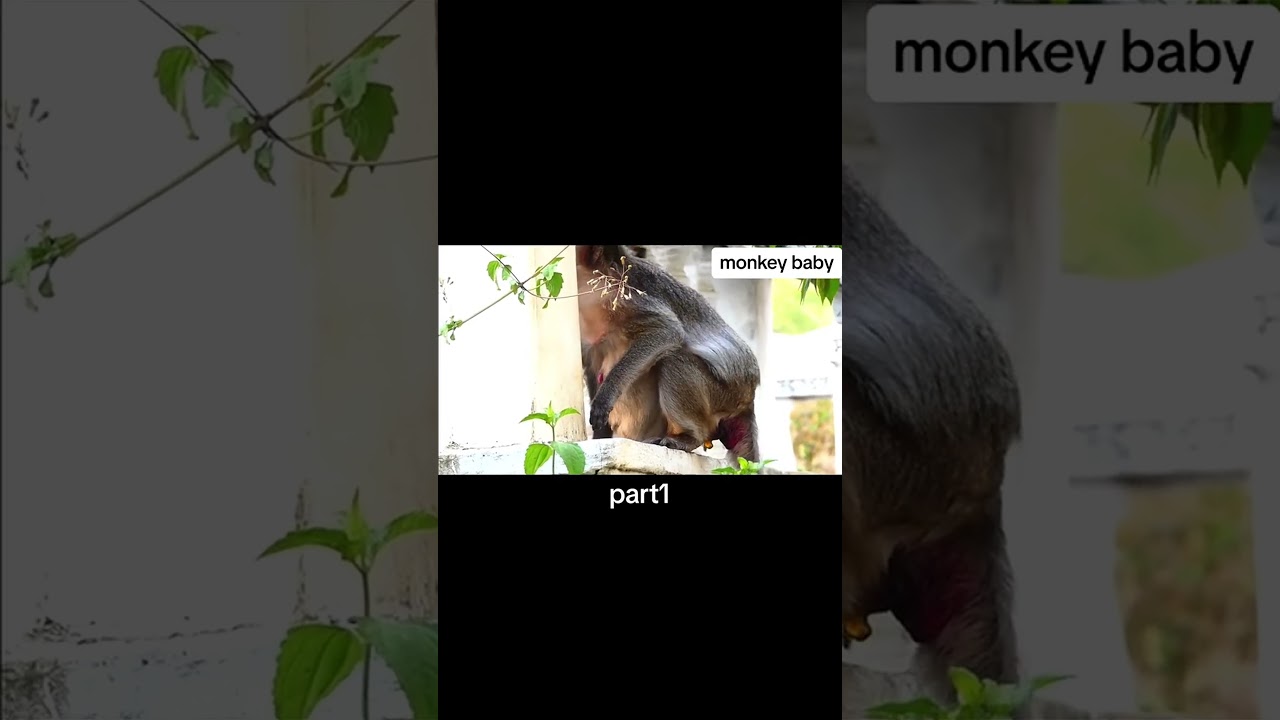 Discover the real thing linking p1 