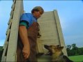 Schutzhund with Gottfried Dildei- Problem Solving in Protection Schutzhund with Gottfried Dildei- Problem Solving in Protection