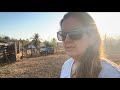 DOMINGO DE PASSEIO… FOMOS COMPRAR UMAS VACAS???????? FRAN ADORNO