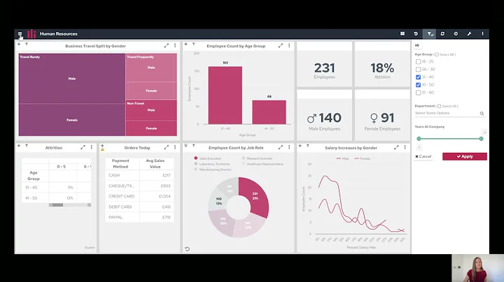Embedding and Whitelabelling Panintelligence - Demo