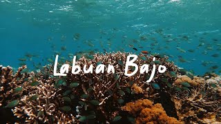 Labuan Bajo Underwater by RAB NSGY 113 views 2 years ago 4 minutes, 2 seconds