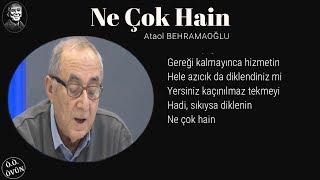 NE ÇOK HAİN - ATAOL BEHRAMOĞLU - MUSTAFA MUTLU