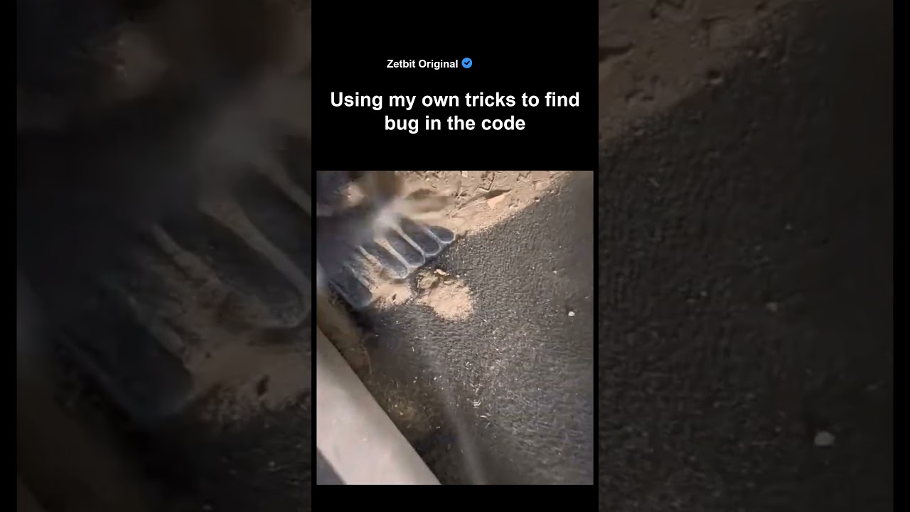 Using my own tricks to find bug in the code #programmer #coder #codinglife