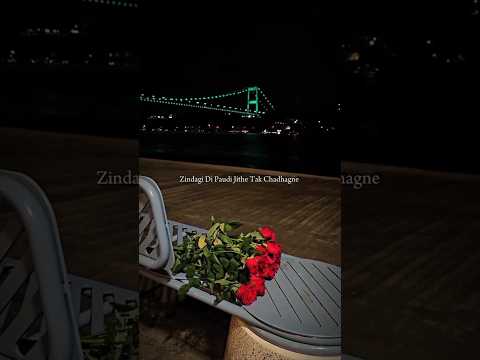 Zindagi Di Paudi Aesthetic Lyrics Status Love Status Love Shorts Viral Lyrics07 