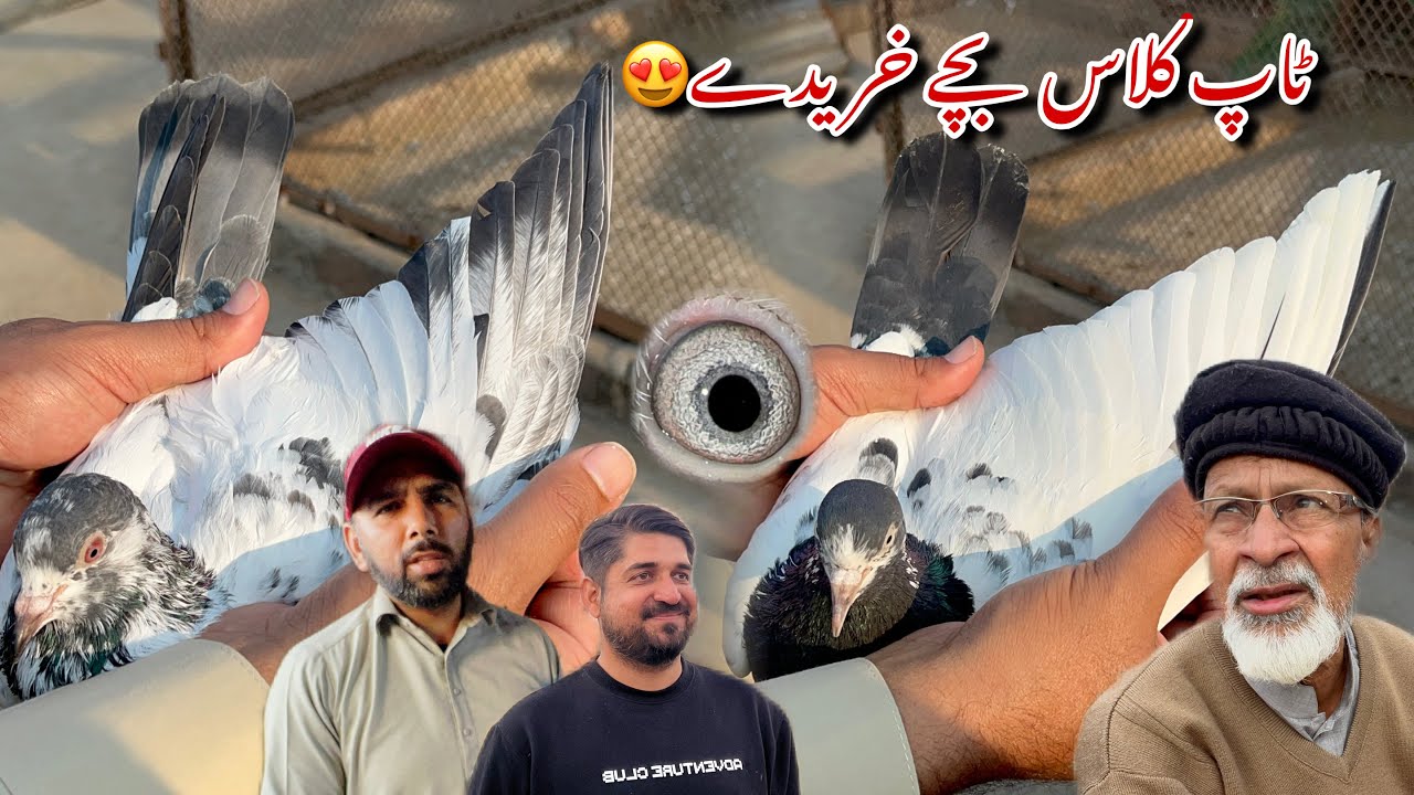 Top class bachy purchase kiye dost k liye 😍