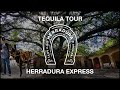 Tequila Herradura Express - Distillery & Tasting Tour In Guadalajara Mexico