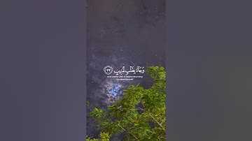 وَأُزۡلِفَتِ ٱلۡجَنَّةُ لِلۡمُتَّقِينَ غَيۡرَ بَعِيدٍ..|#سورة_ق #القارئ #محمد_ديبيروف