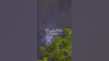 وَأُزۡلِفَتِ ٱلۡجَنَّةُ لِلۡمُتَّقِينَ غَيۡرَ بَعِيدٍ..|#سورة_ق #القارئ #محمد_ديبيروف